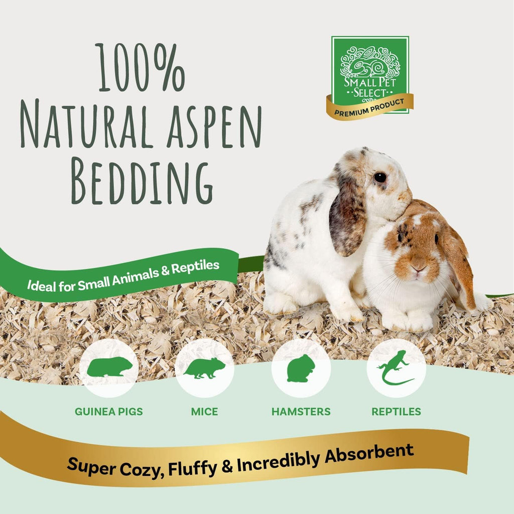 Small Pet Select Aspen Bedding showing texture of wood shavings