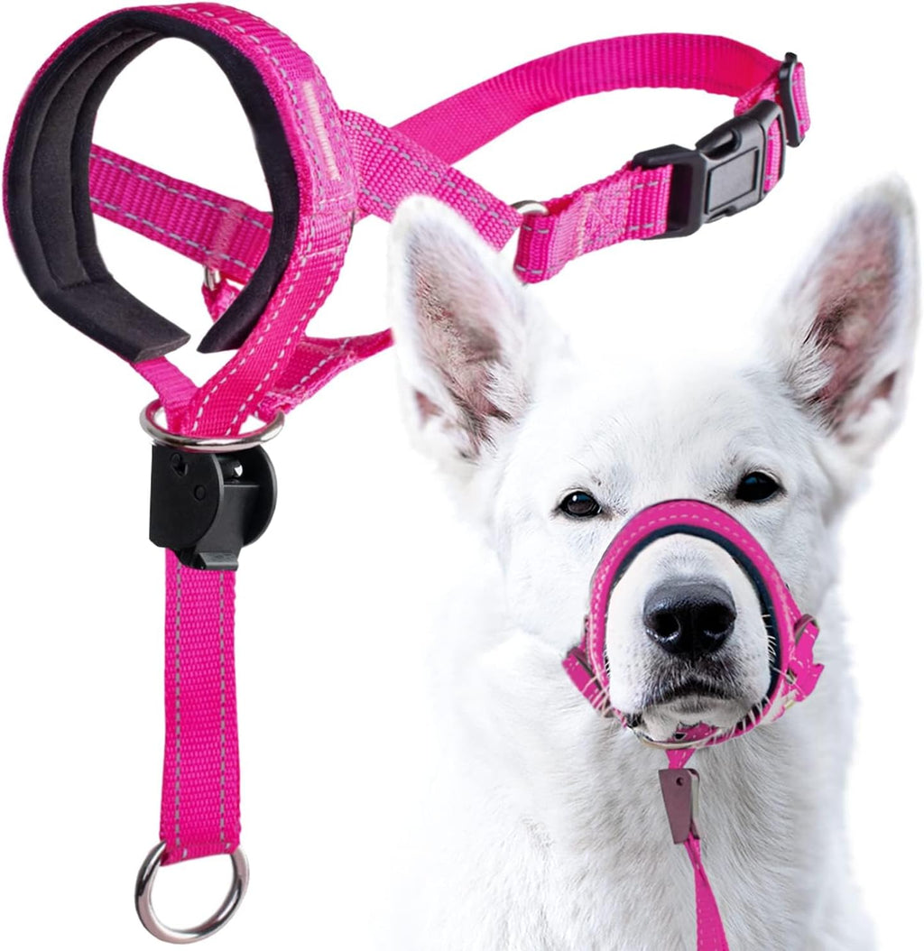 GoodBoy Dog Head Halter with Safety Strap - Stops Heavy Pulling On The Leash - Padded Headcollar for Small Medium and Large Dog Sizes - Head Collar Training Guide Included (Size 2, Pink) - Image 13