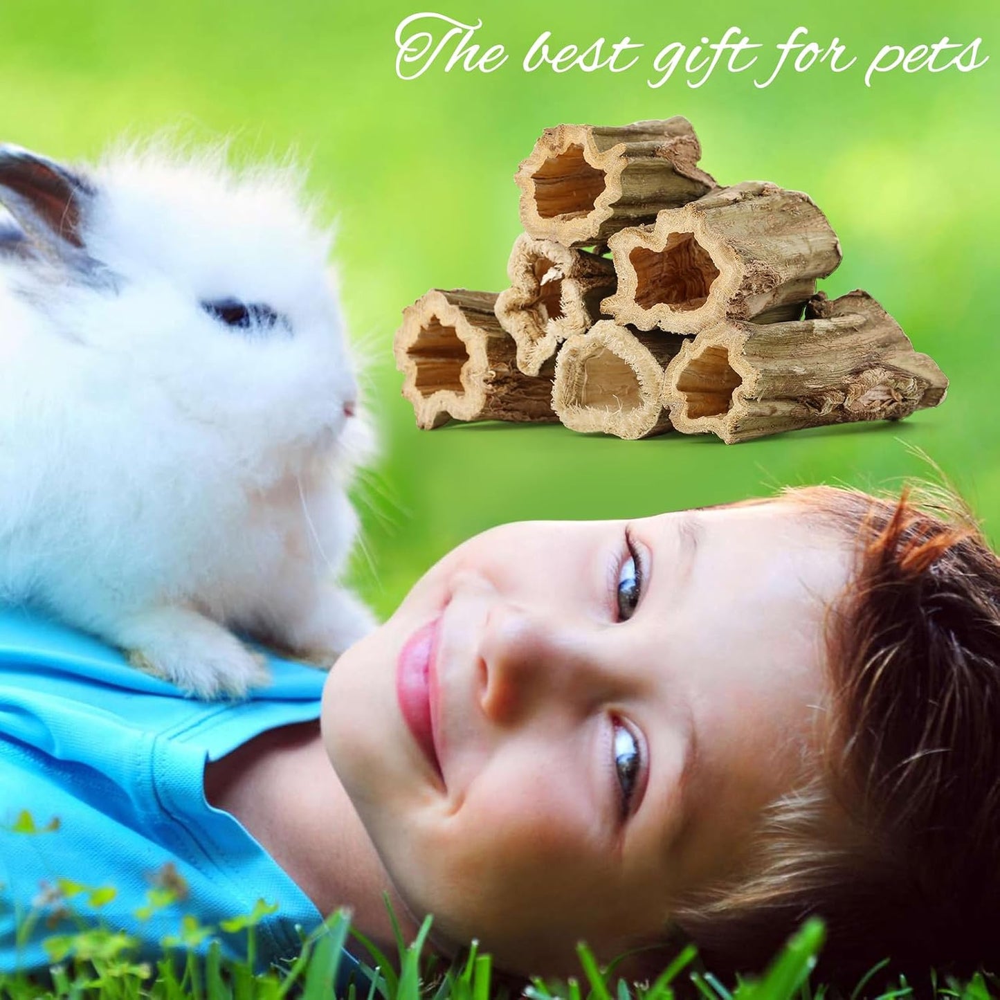 Safe non toxic wood chews for pocket pets and small rodents