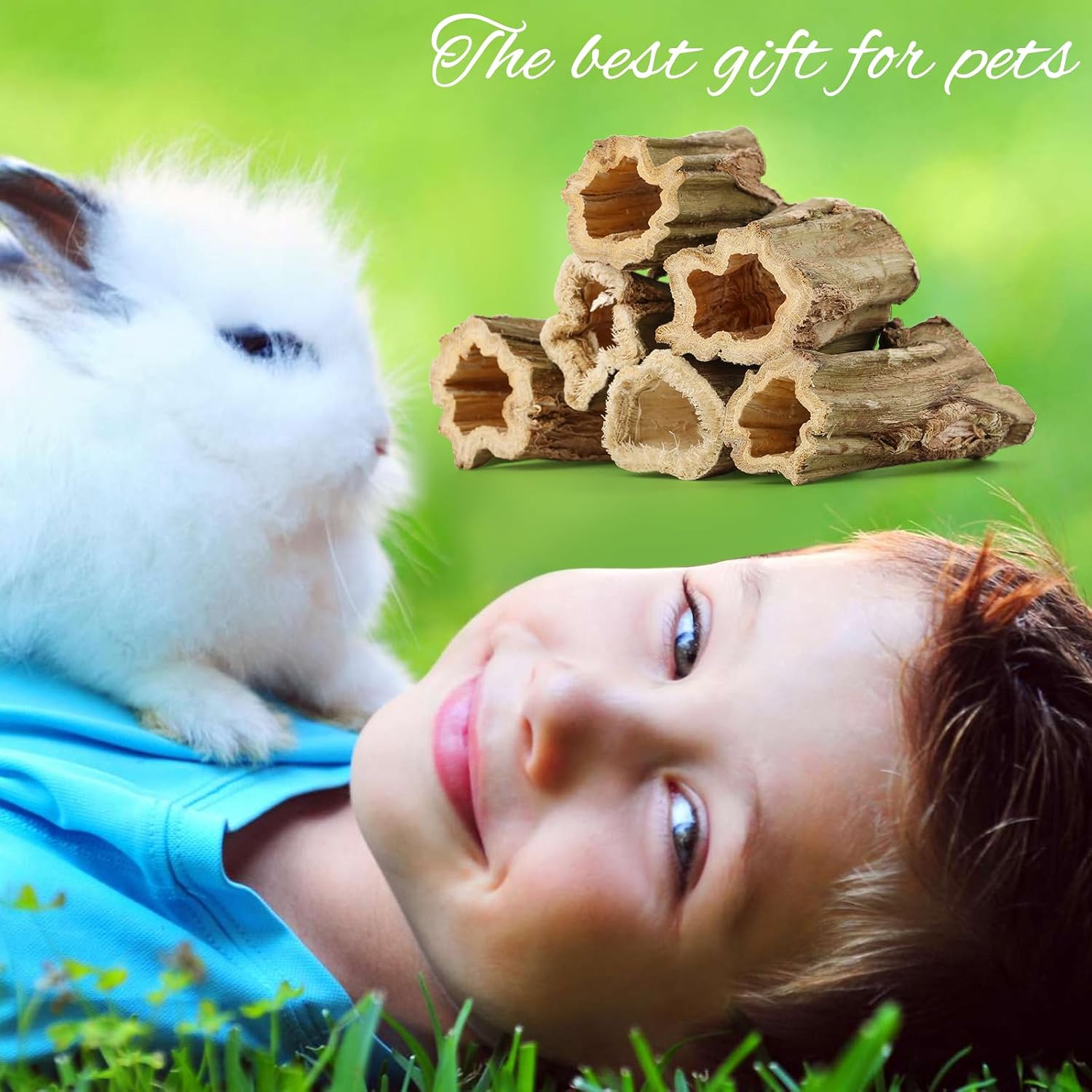 Safe non toxic wood chews for pocket pets and small rodents