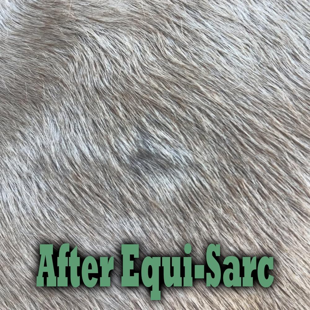 Equine Veterinary Essentials equine skin care product for warts