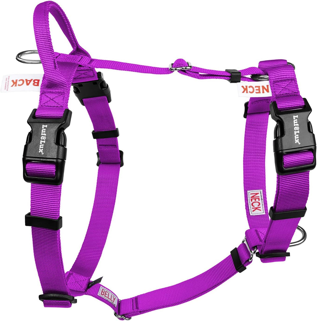 Non Restrictive No Pull Dog Harness, Neck Buckle Desgin, Lightweight Easy Walk Freedom Harness, Six Points Adjustment, Small Dogs Chest(17-23inches) Red/Black - Image 10