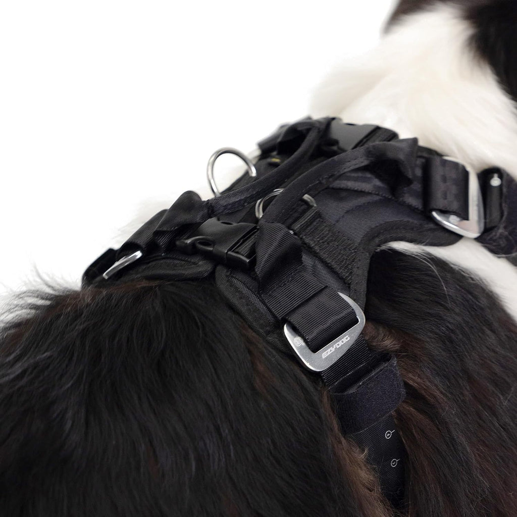 Diagram showing how to thread seat belt through EzyDog harness