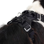 Diagram showing how to thread seat belt through EzyDog harness