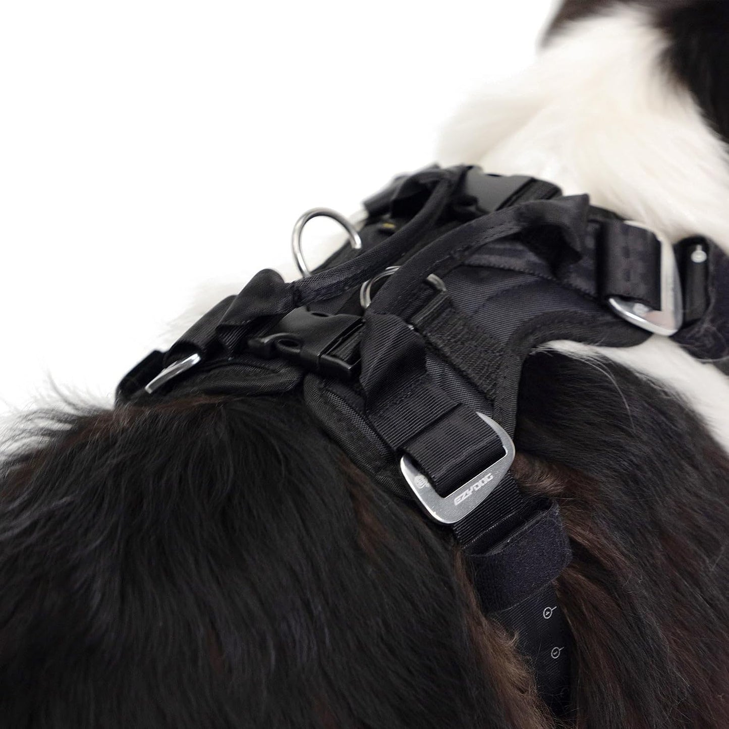 Diagram showing how to thread seat belt through EzyDog harness