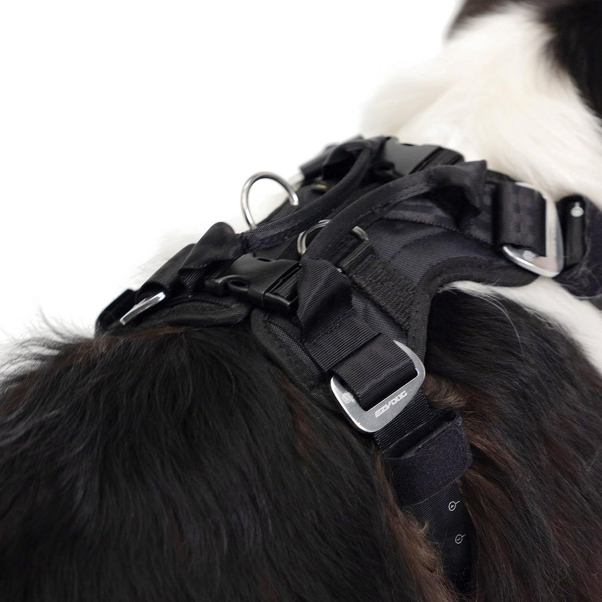 Diagram showing how to thread seat belt through EzyDog harness