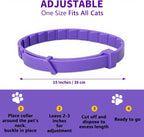 Cat wearing an adjustable protective pheromone collar in a home