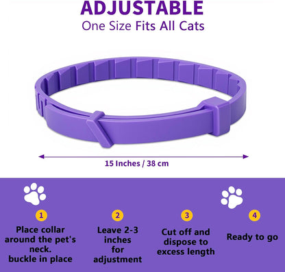 Cat wearing an adjustable protective pheromone collar in a home