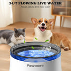 Elevated cat water fountain 6.7 inch height design