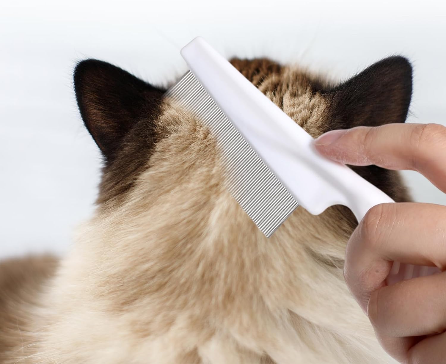 Three pack of white pet flea combs arranged neatly demonstrating the ergonomic grip handle design