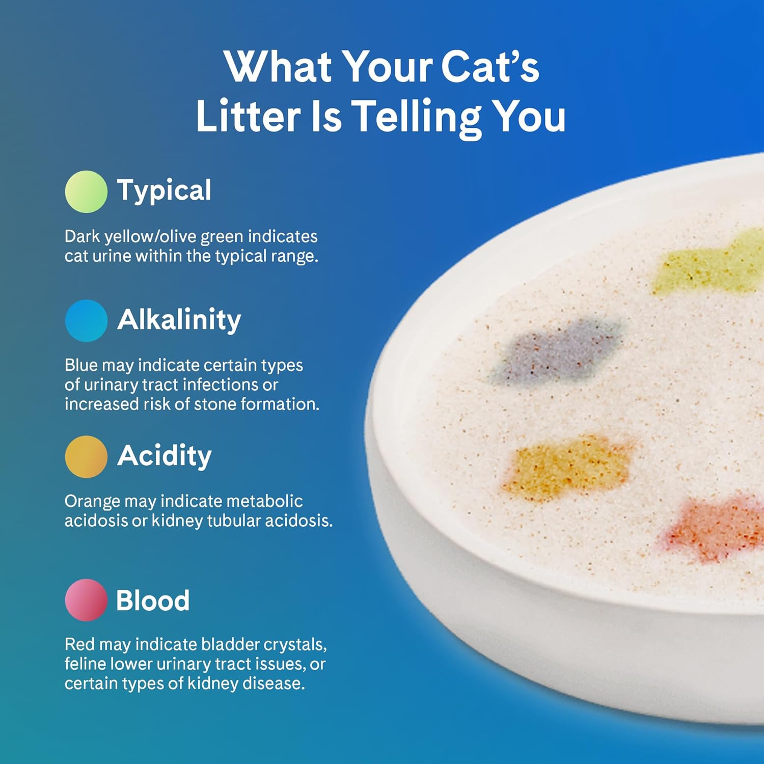 Cat using PrettyLitter health monitoring cat litter