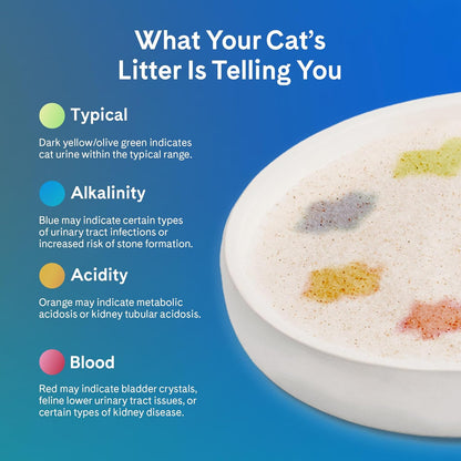 Cat using PrettyLitter health monitoring cat litter