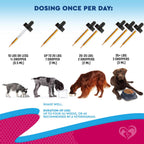 Beloved Pets pet incontinence and bladder stones treatment bottle top view