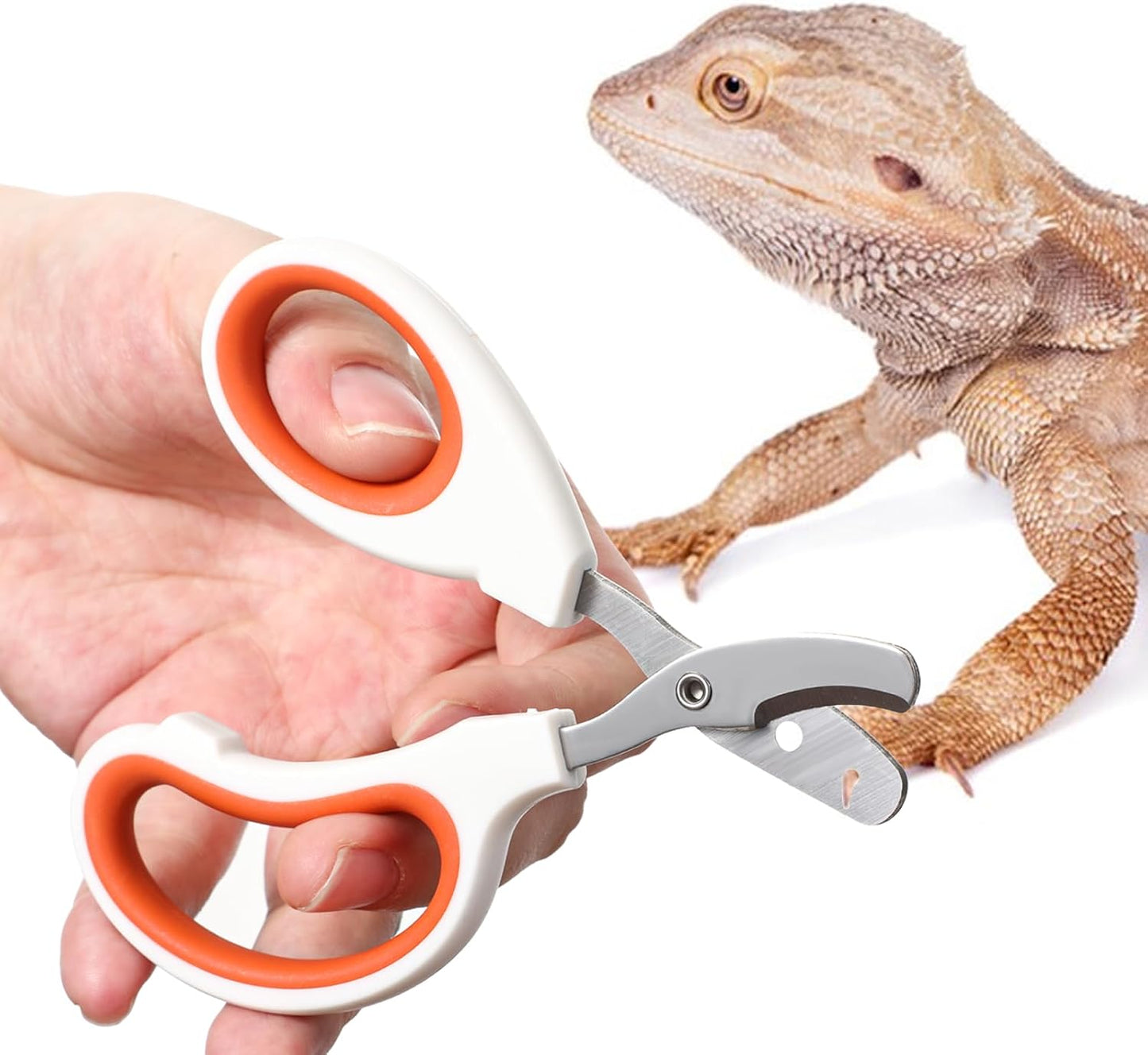 Vin Beauty Bearded Dragon Nail Clippers front view for precise reptile grooming.
