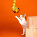 Fringe Studio catnip kicker toy showcasing the shiny spotted fabric and reflective details.