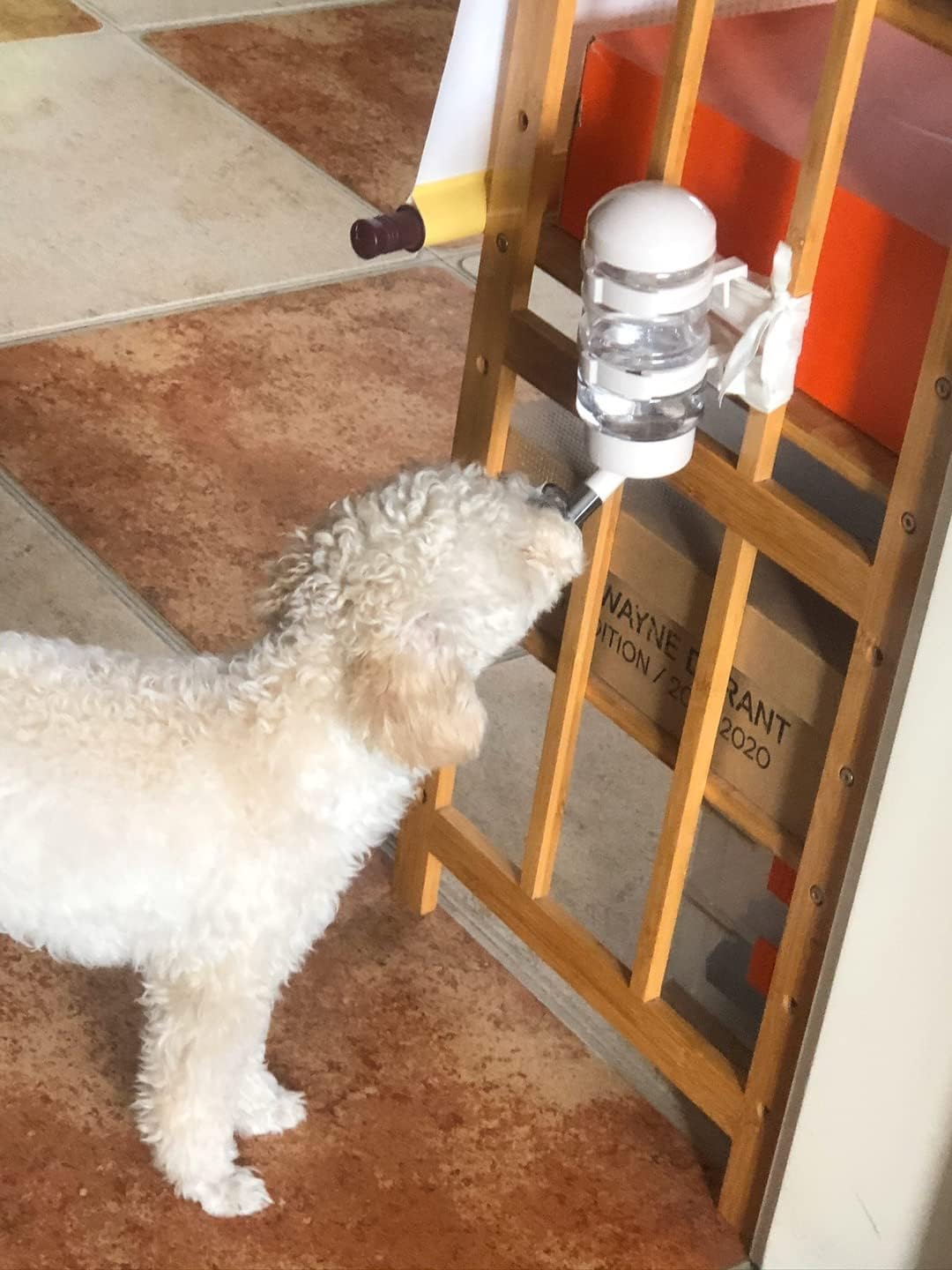 FOBLOEER leakproof pet water feeder bottle being filled from the top