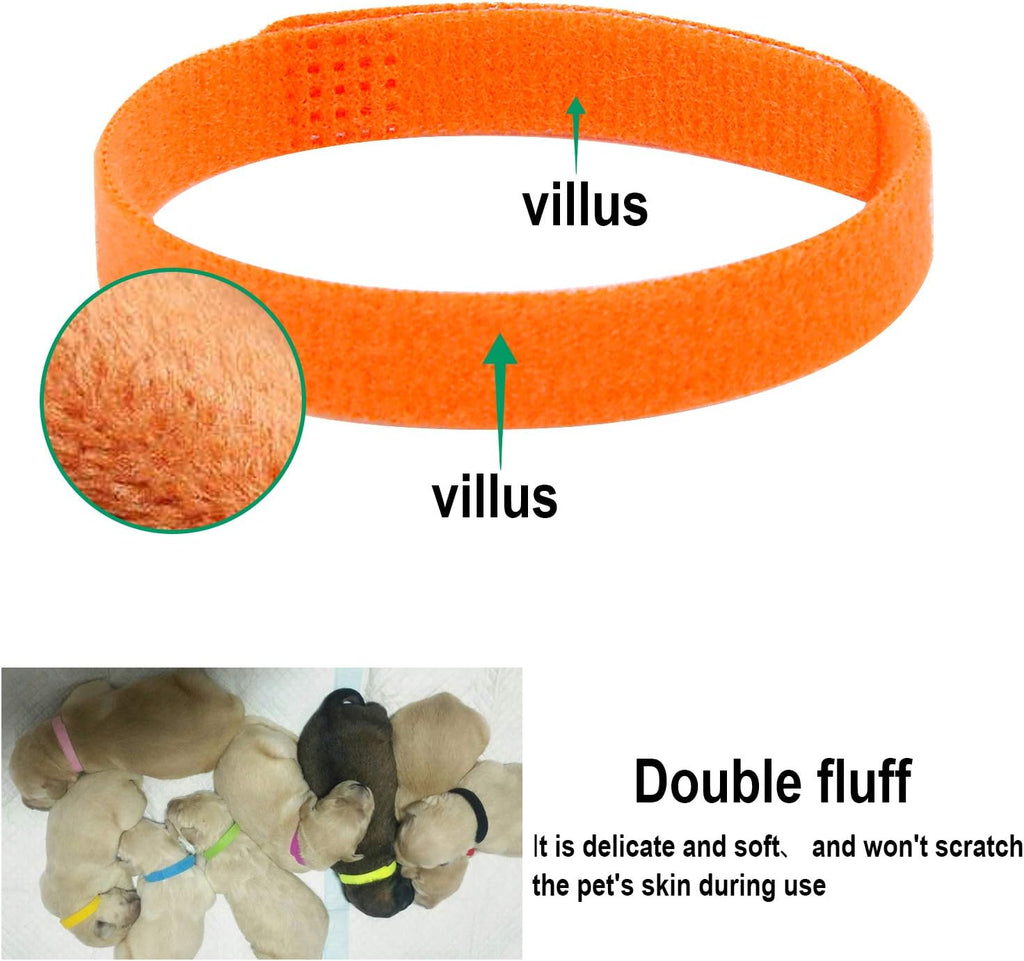 Vibrant colors of Febsnow newborn pet identification collars