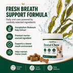 Dog dental supplement with kelp extract and probiotics for plaque control
