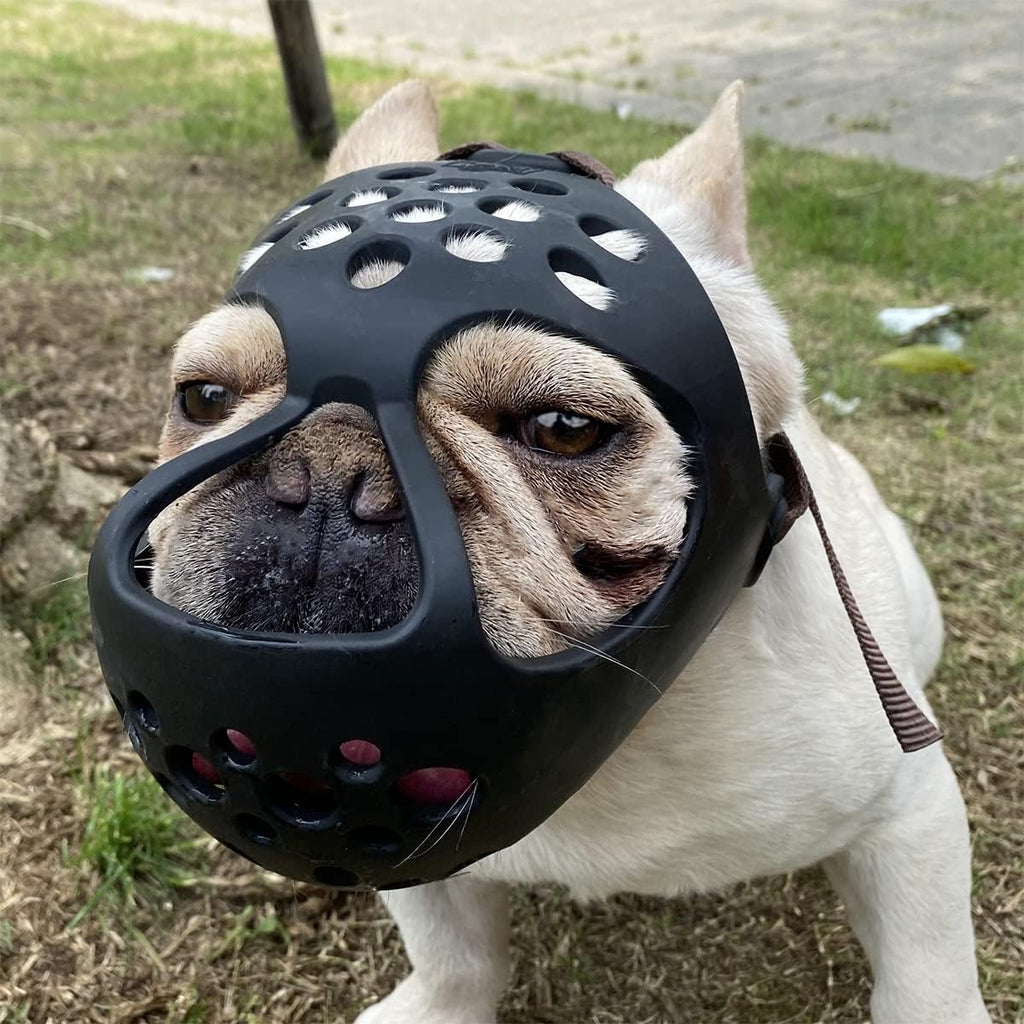 Barkless short snout dog muzzle front view black silicone basket design