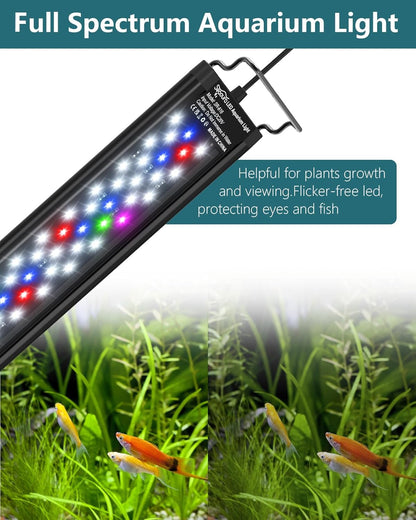 Aquarium view with Seaoura lighting in white and red mode