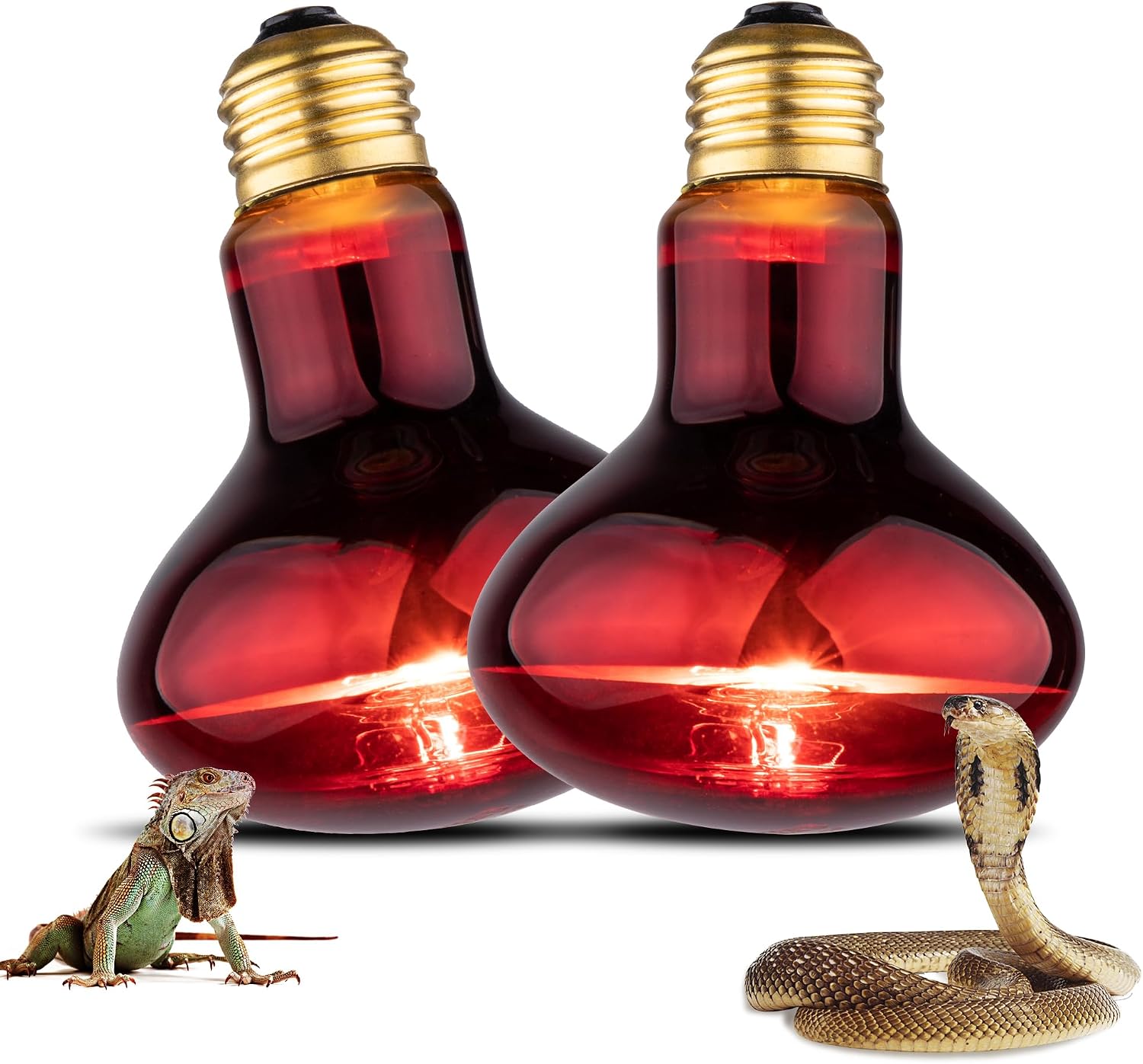 Jugbuy day and night combo bulbs displayed side by side to illustrate the complete twenty-four hour climate control solution.
