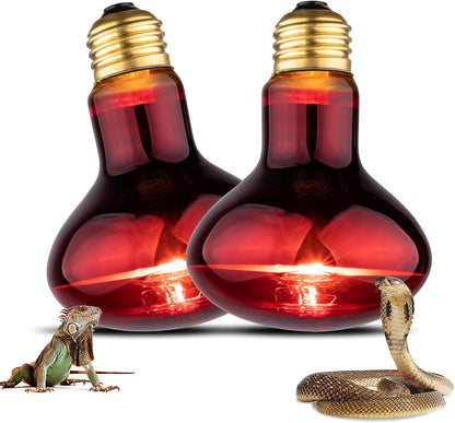 Jugbuy day and night combo bulbs displayed side by side to illustrate the complete twenty-four hour climate control solution.