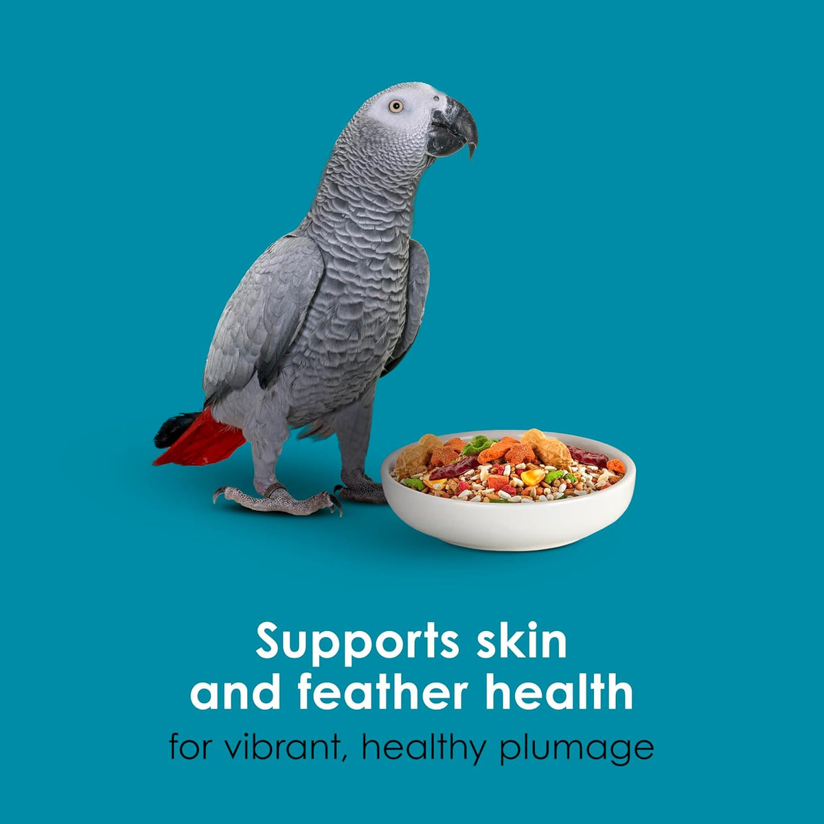Nutritional benefits chart on Kaytee Forti-Diet parrot food bag
