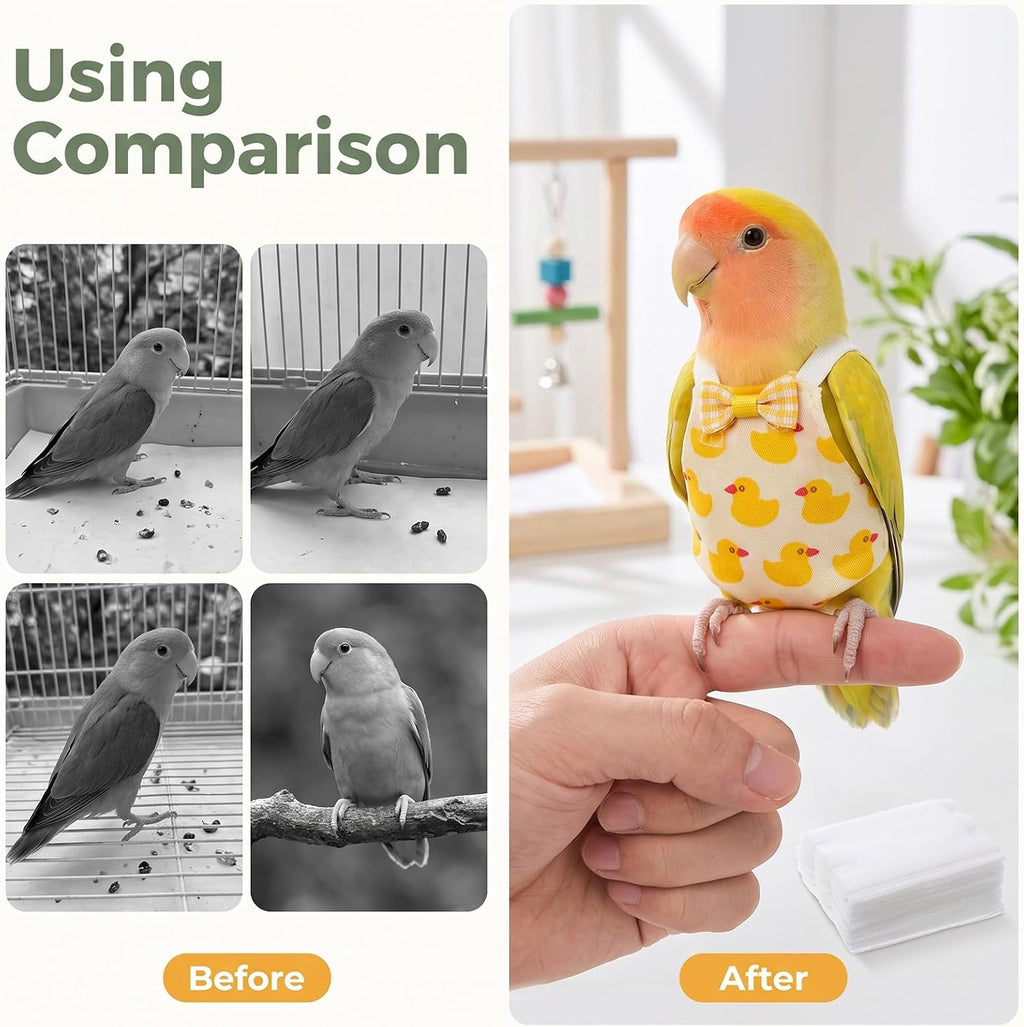 Bird Diaper with Waterproof Inner & Diapers Replacement - Image 5