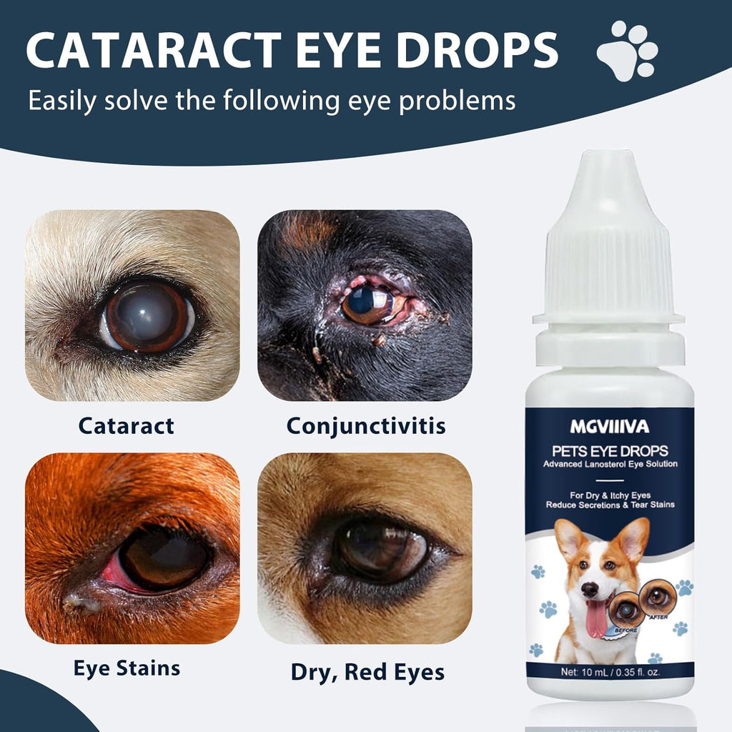 Two ten milliliter bottles of pet eye infection treatment for dogs and cats.
