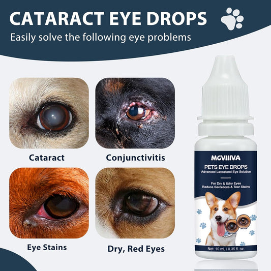 Two ten milliliter bottles of pet eye infection treatment for dogs and cats.