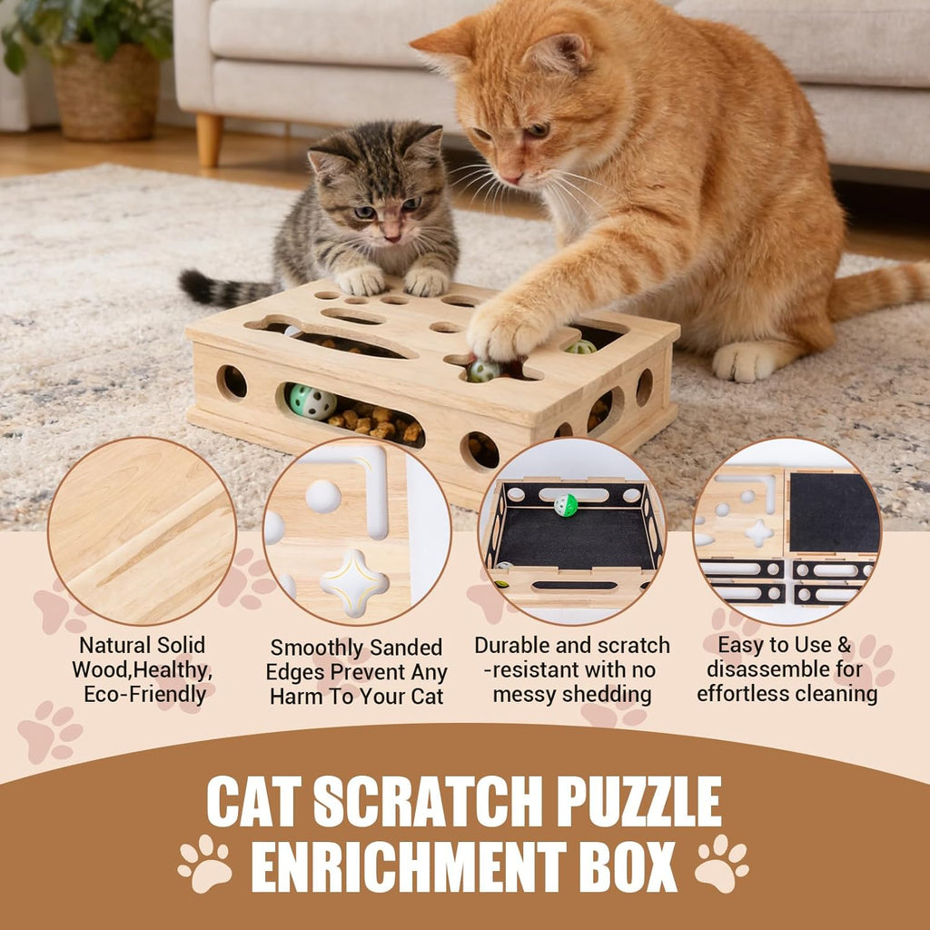 Interactive cat nail file box with treat maze holes for indoor cat scratching enrichment.