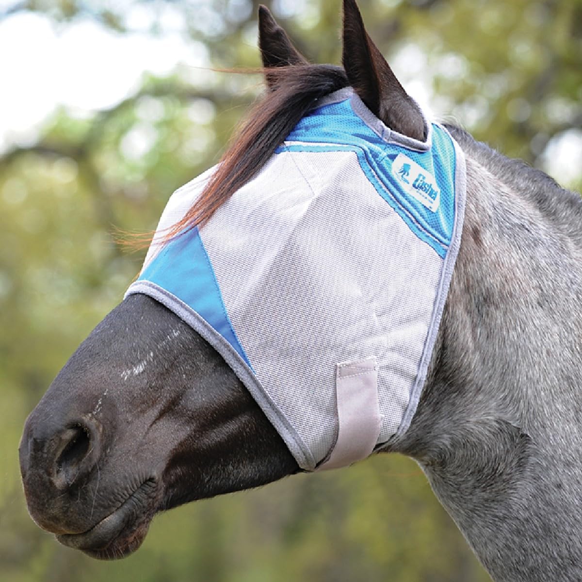 Cashel fly mask hook and loop closure mechanism