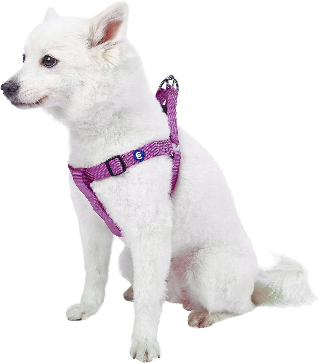 Blueberry Pet Essentials Step-in Dog Harness, Small Size | Adjustable Fired Brick Vest | Classic Solid Nylon for Boy & Girl Dogs, Chest Girth 16.5" - 21.5" - Image 15
