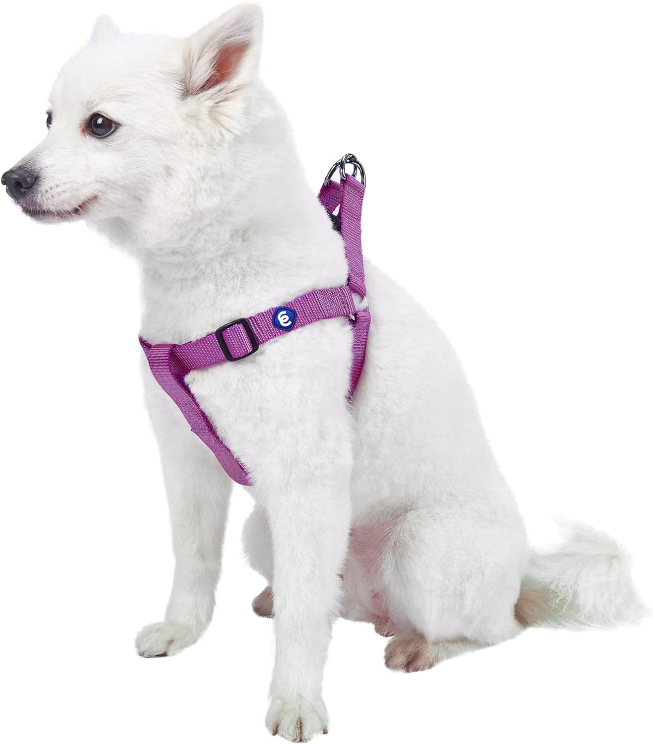 Blueberry Pet Essentials Step-in Dog Harness, Small Size | Adjustable Fired Brick Vest | Classic Solid Nylon for Boy & Girl Dogs, Chest Girth 16.5" - 21.5" - Image 15