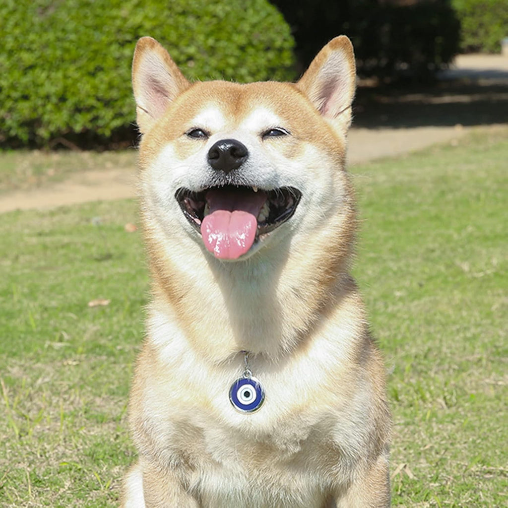 Durable enamel inlaid personalized pet protection accessory