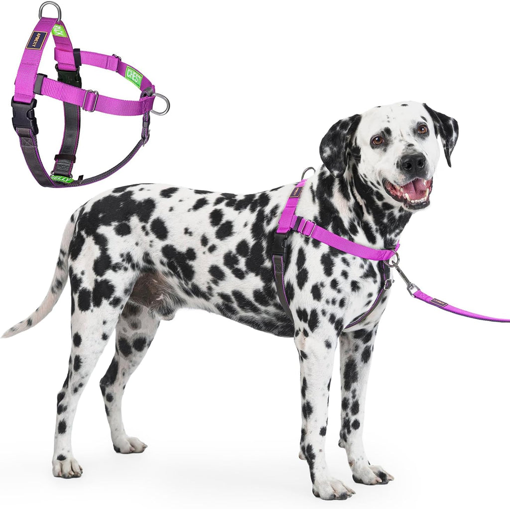 Apdexy Freedom No Pull Dog Harness front view in purple