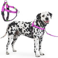 Apdexy Freedom No Pull Dog Harness front view in purple
