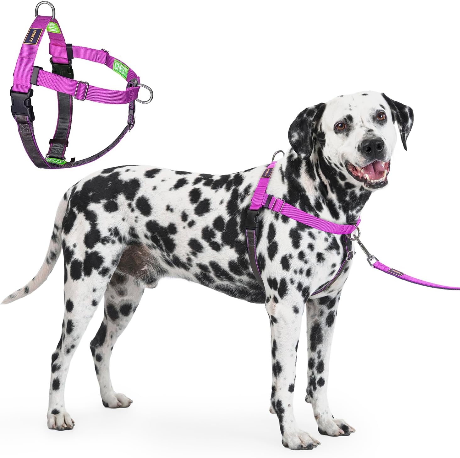 Apdexy Freedom No Pull Dog Harness front view in purple