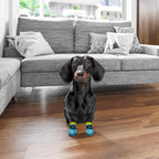 PawFlex cotton dog socks for wound protection