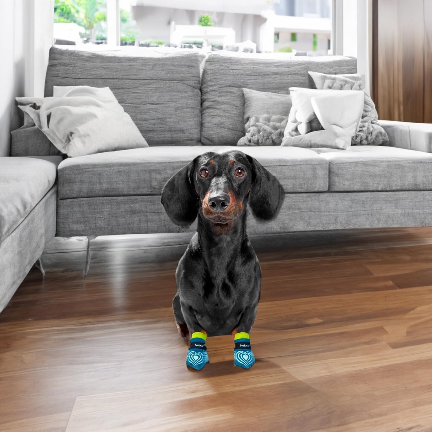 PawFlex cotton dog socks for wound protection
