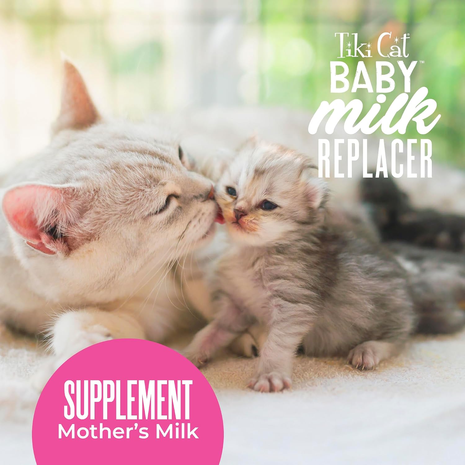 Tiki Pets kitten liquid milk replacer with DHA for brain development