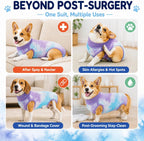 Size chart visual for Torjoy dog recovery body suit