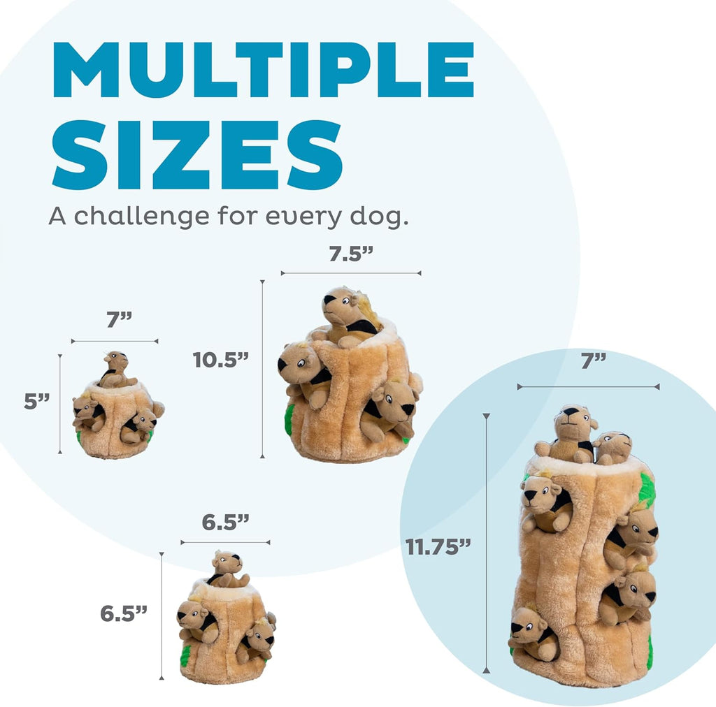 Outward Hound Hide-A-Squirrel Dog Toy With Squeaky Squirrels For Indoor Toss And Fetch Play