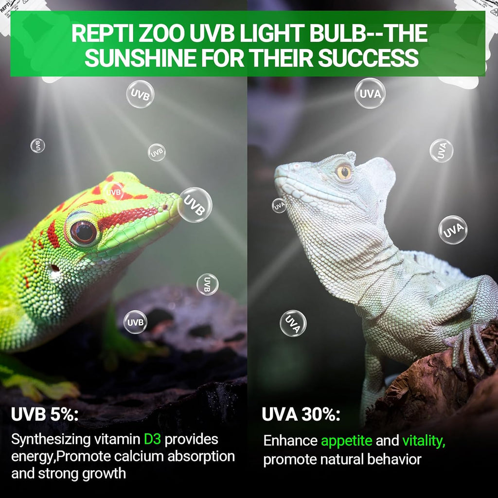 Tropical reptile terrarium setup illuminated by high performance UVA UVB light bulb.