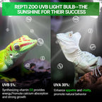 Tropical reptile terrarium setup illuminated by high performance UVA UVB light bulb.