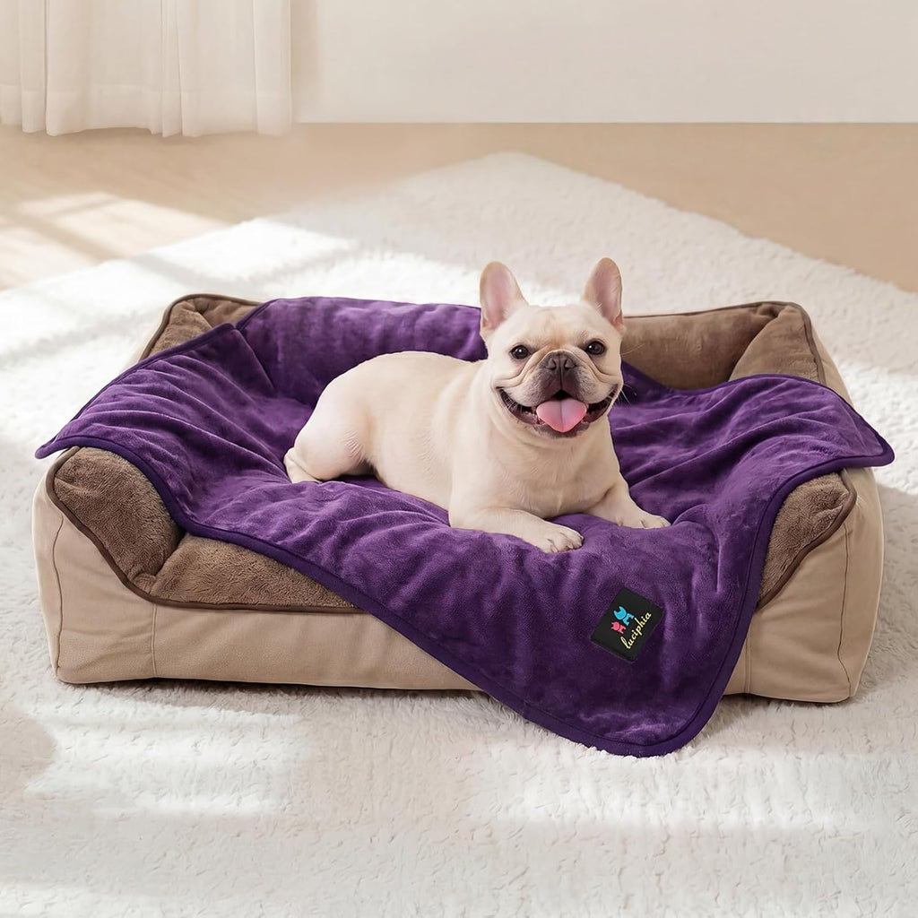 Luciphia grey pet blanket folded neatly, displaying the soft Sherpa backing.