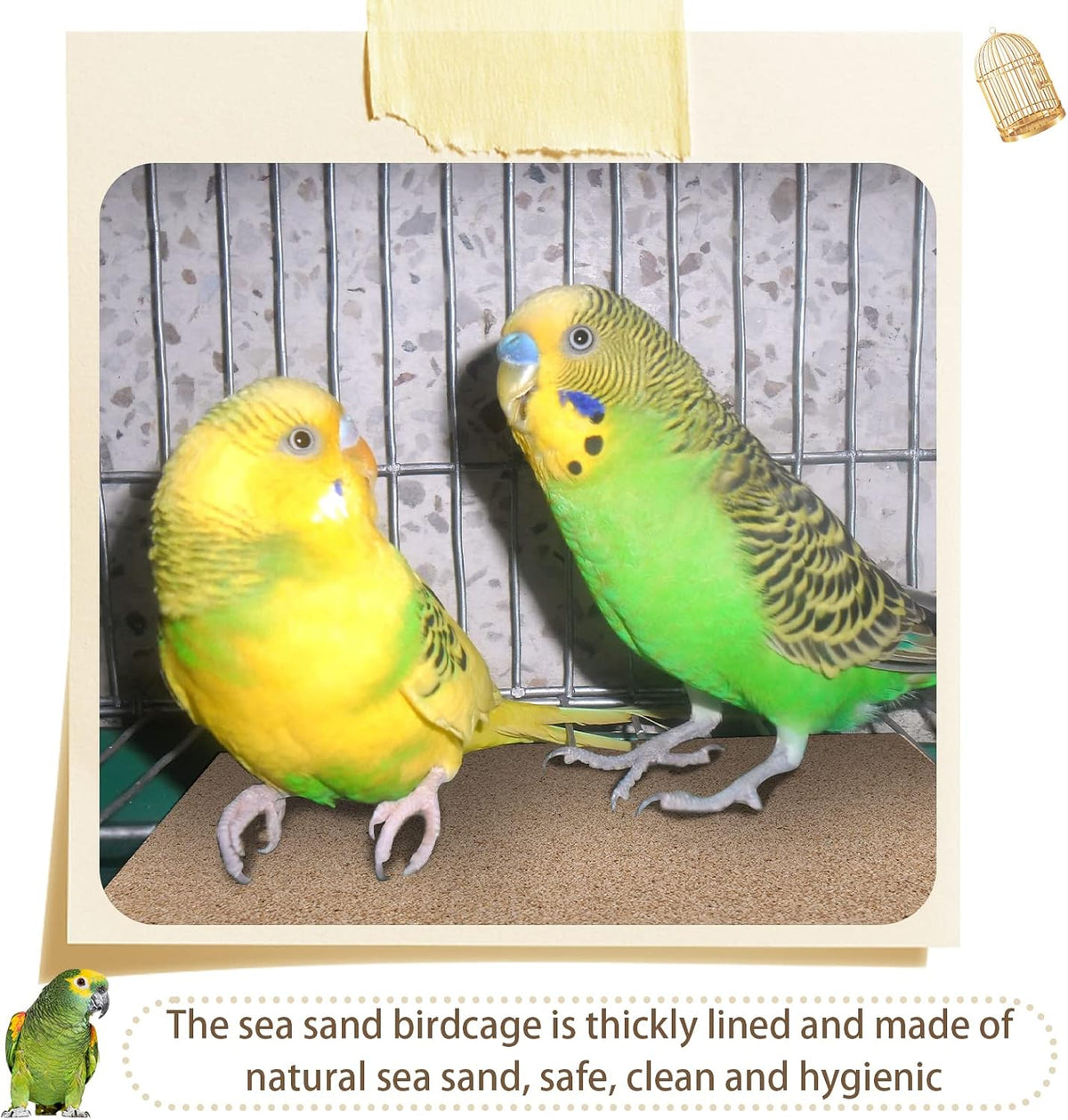 Fabbay bird cage liner paper placed inside a parrot enclosure