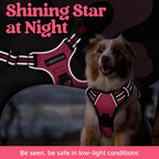 Breathable air mesh interior padding details of the Rabbitgoo large dog harness