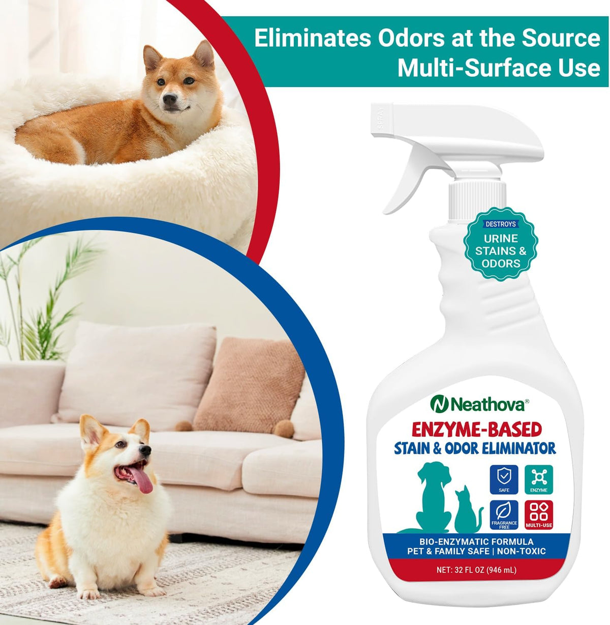 Neathova thirty two fluid ounce pet stain remover bottle back label instructions.