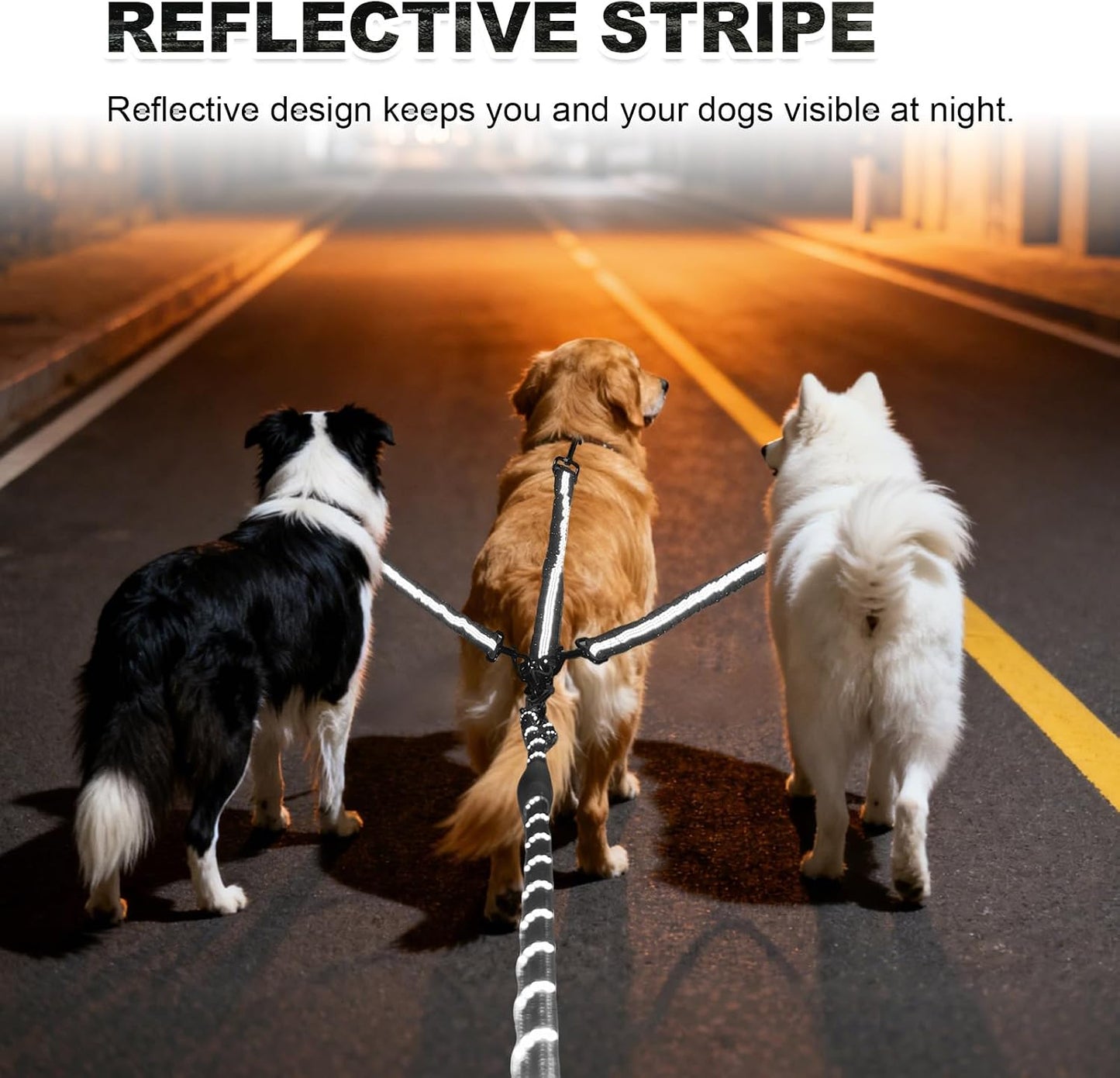 Durable nylon leash splitter system for three small medium or large dogs.